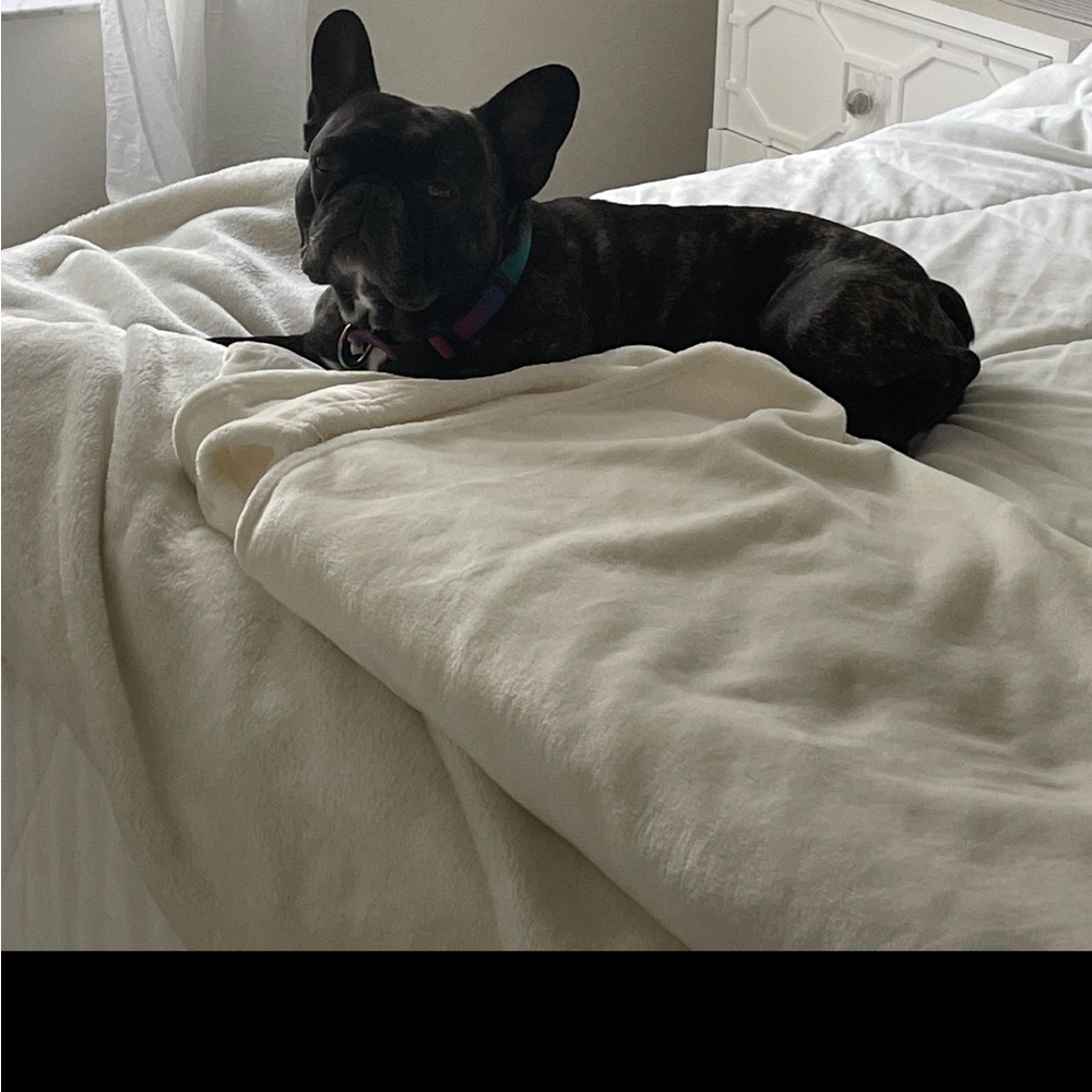 Meet your Posher, Tara